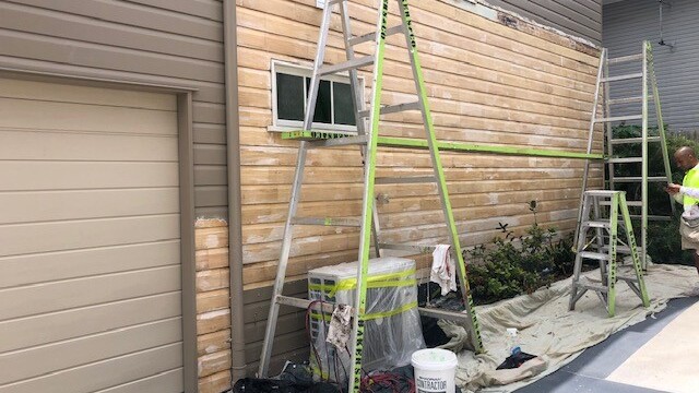 Chemical Paint Stripper Toowong During