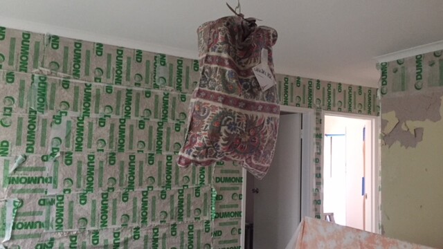 Interior Lead Paint Removal
